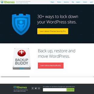 Review of iThemes.com